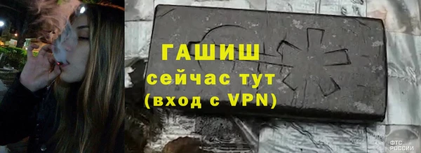 стафф Каменногорск