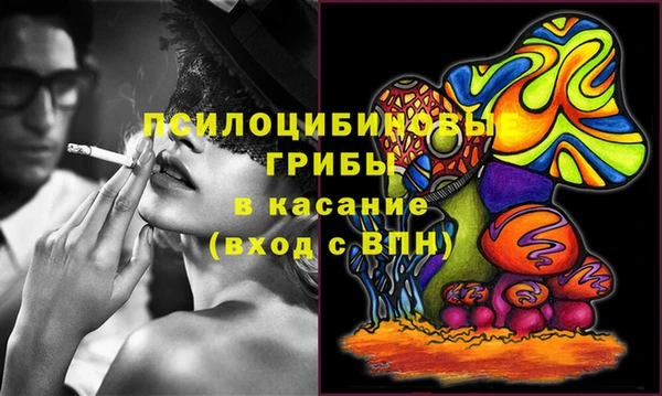 Альфа ПВП Каменка