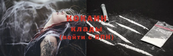 Альфа ПВП Каменка