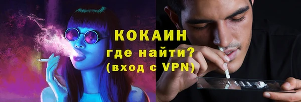 Альфа ПВП Каменка