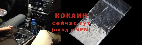 Альфа ПВП Каменка