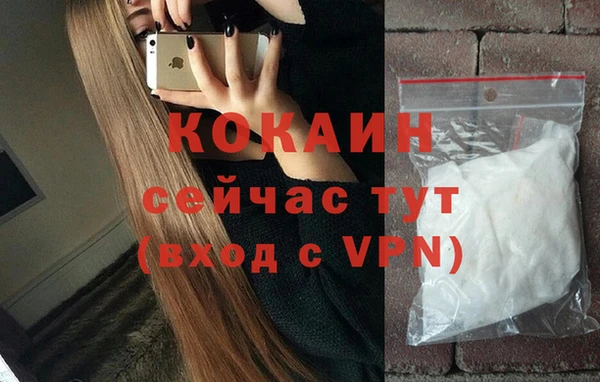 Альфа ПВП Каменка