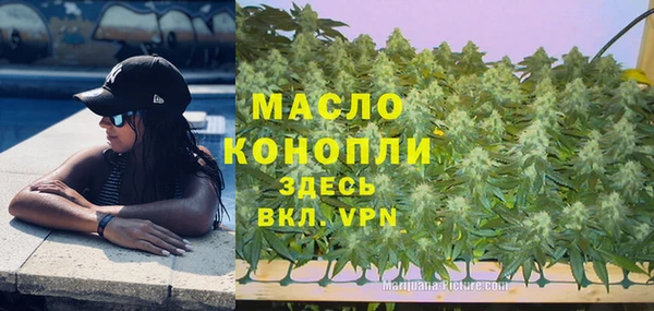 стафф Каменногорск