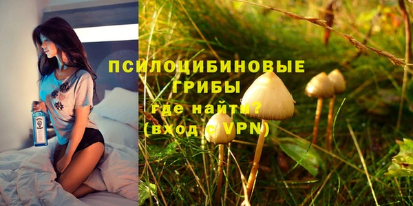 Альфа ПВП Каменка