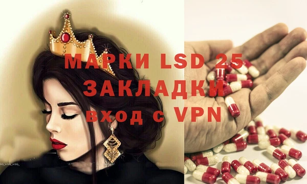 стафф Каменногорск