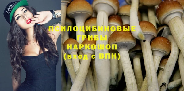 стафф Каменногорск