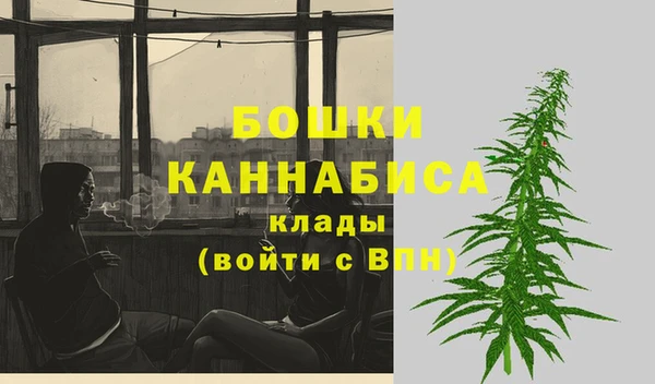 стафф Каменногорск