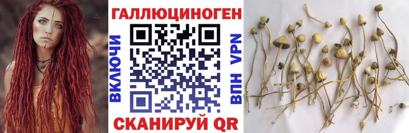 Галлюциногенные грибы ЛСД  Купить где  Николаевск 